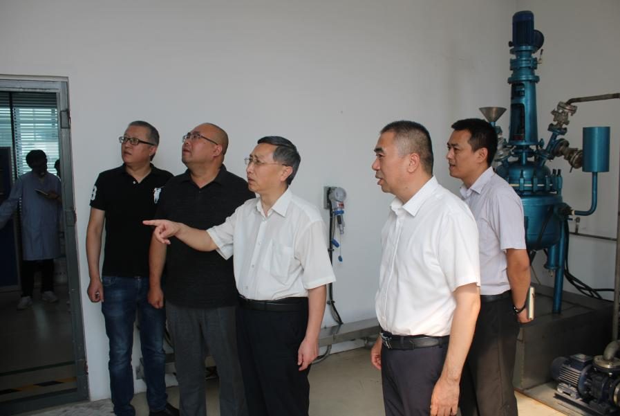 Zhang Futian, Vice President of China Chemical Industry Information Association, and his delegation visited the company for inspection